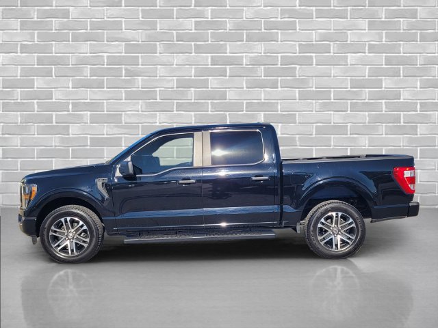 Used 2023 Ford F150 XL w/ STX Appearance Package AWD/4WD image 9