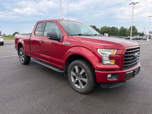 Used 2015 Ford F150 XLT w/ Equipment Group 302A Luxury AWD/4WD image 3