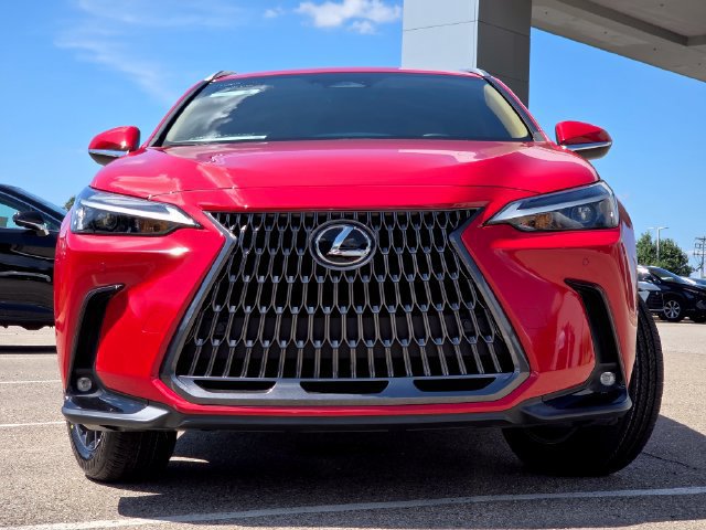Certified 2024 Lexus NX 250 FWD w/ Cold Area Package image 3