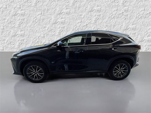 Used 2025 Lexus NX 250 FWD image 6