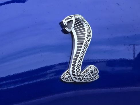 Used 2013 Ford Mustang Shelby GT500 image 10