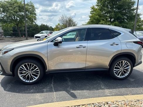 Used 2025 Lexus NX 350 AWD w/ Cold Area Package image 6