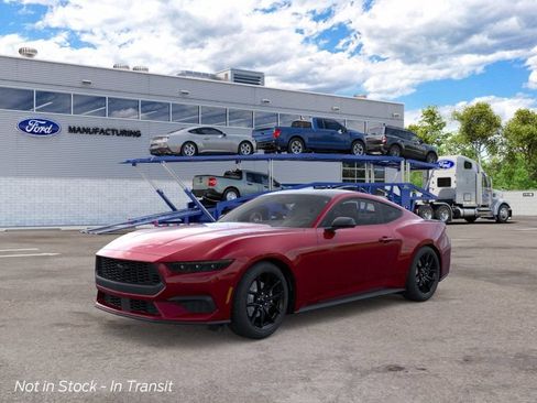 New 2026 Ford Mustang Coupe w/ Mustang Nite Pony Package RWD image 2