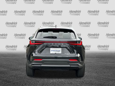 Certified 2025 Lexus NX 350h AWD w/ Cold Area Package image 6
