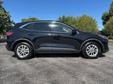 Used 2020 Ford Escape SE image 4