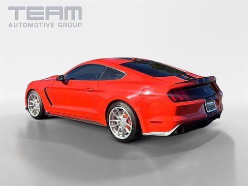 Used 2016 Ford Mustang Shelby GT350 w/ Technology Package image 5