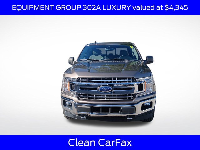 Used 2019 Ford F150 XLT w/ Equipment Group 302A Luxury AWD/4WD image 3