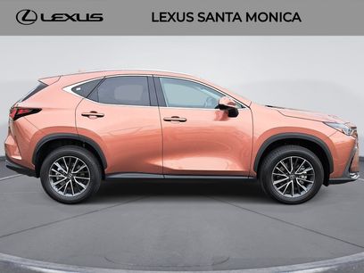 Used 2025 Lexus NX 350 AWD w/ Cold Area Package