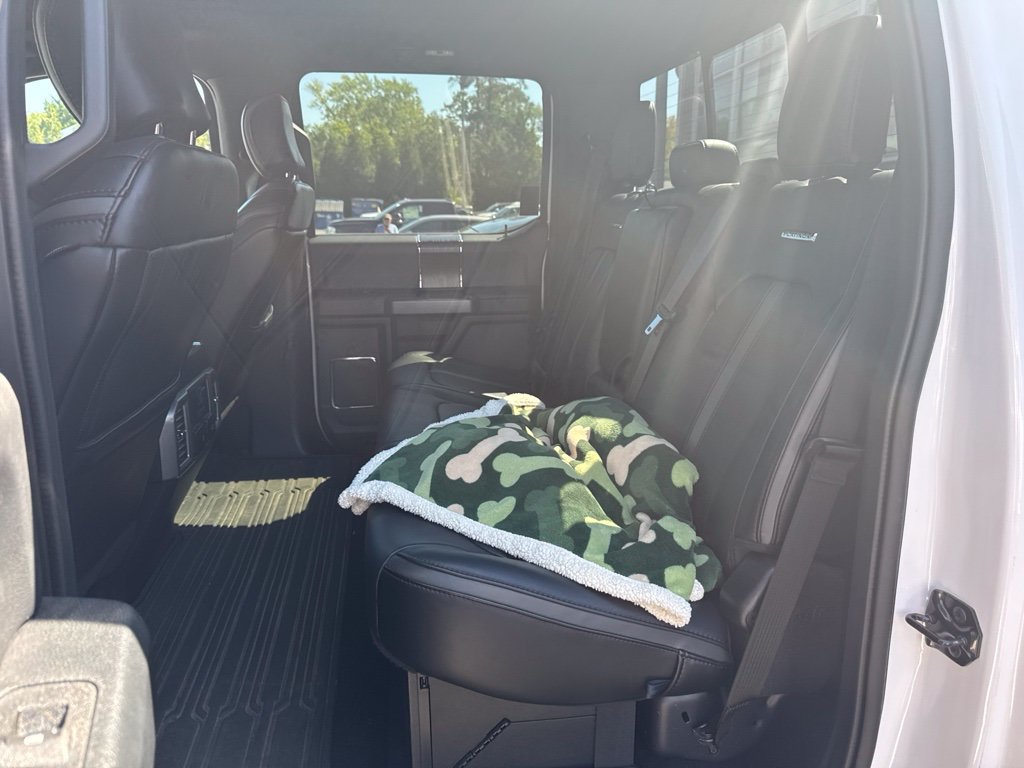 Used 2019 Ford F250 Platinum w/ Platinum Ultimate Package AWD/4WD image 8