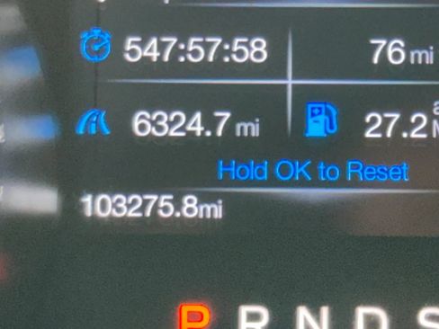 Used 2019 Ford Mustang Coupe w/ Equipment Group 101A RWD image 22