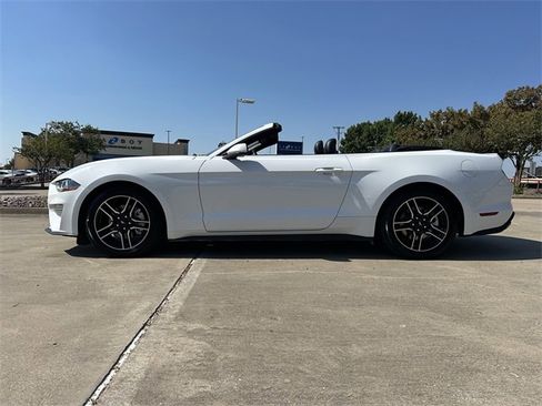 Used 2023 Ford Mustang Premium image 2