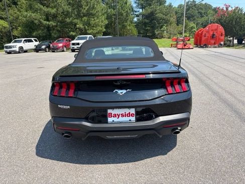 Used 2025 Ford Mustang Premium RWD image 19