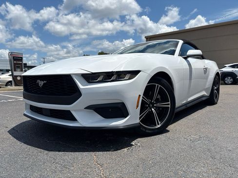 Used 2025 Ford Mustang Premium RWD image 1
