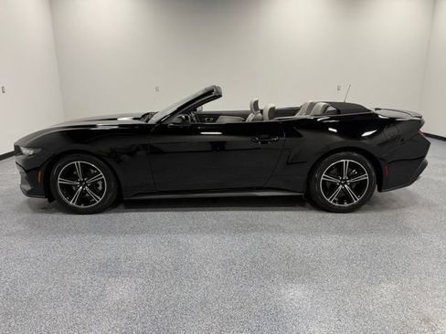Used 2024 Ford Mustang Premium RWD image 6