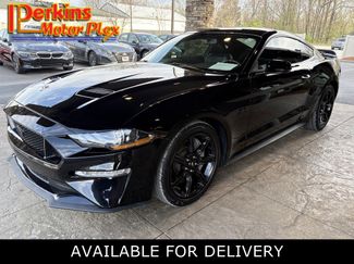 Used 2019 Ford Mustang GT Premium w/ Black Accent Package video 1