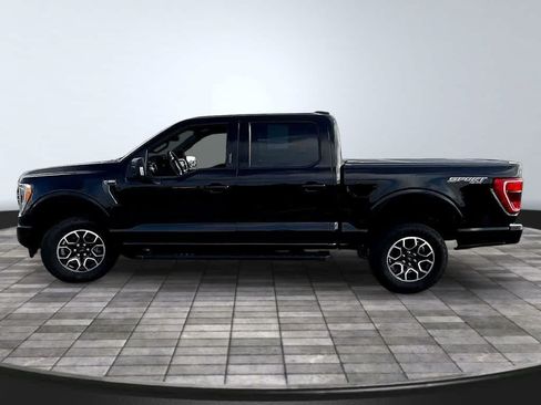 Used 2023 Ford F150 XLT w/ Equipment Group 302A High AWD/4WD image 3