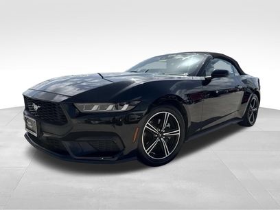 Used 2024 Ford Mustang Premium