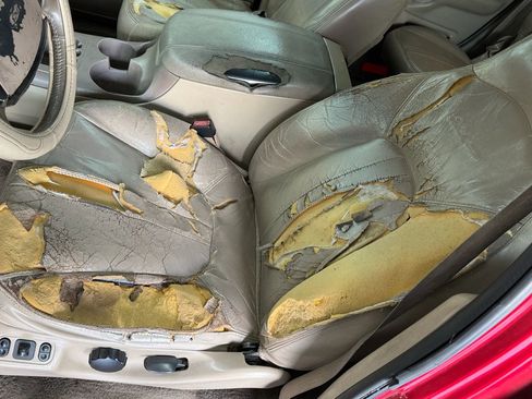 Used 2002 Ford Expedition Eddie Bauer image 11