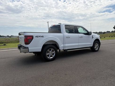 Used 2025 Ford F150 XLT w/ Equipment Group 301A Standard AWD/4WD image 5