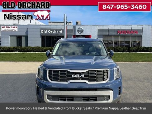 Used 2023 Kia Telluride SX Prestige image 3