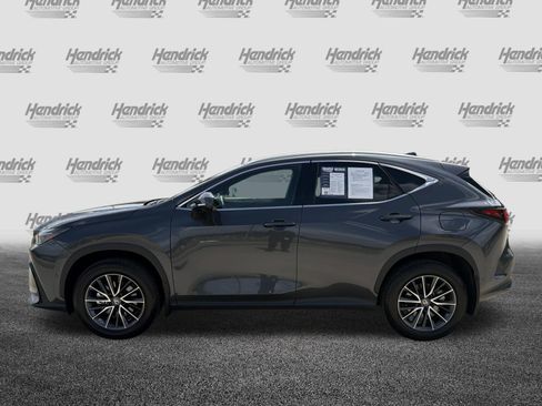 Used 2025 Lexus NX 350h AWD w/ Accessory Package (2T) image 7