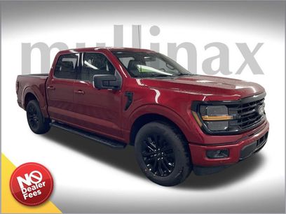New 2025 Ford F150 XLT w/ Equipment Group 303A High