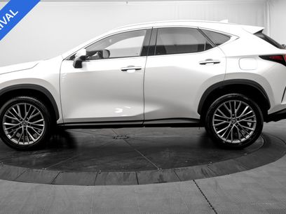 Used 2023 Lexus NX 350 AWD