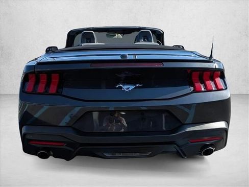 Used 2024 Ford Mustang Premium image 6