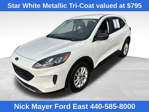 Used 2022 Ford Escape SE w/ Cold Weather Package image 3