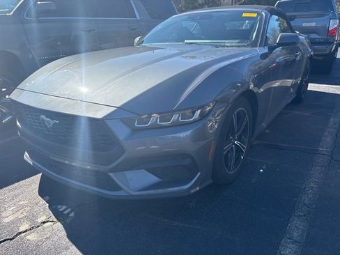 Used 2025 Ford Mustang Premium image 1