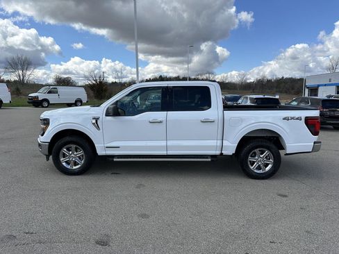 Used 2025 Ford F150 XLT w/ Equipment Group 301A Standard AWD/4WD image 2