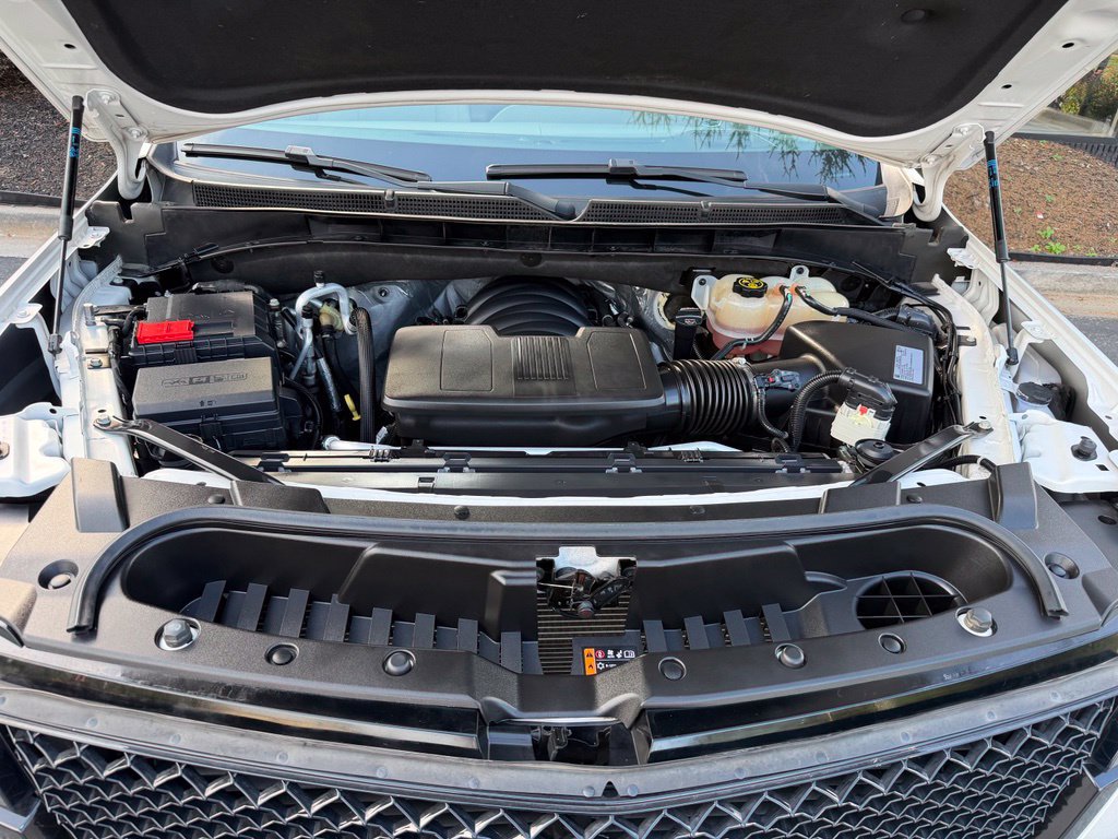 Used 2021 Cadillac Escalade Premium Luxury Platinum w/ LPO, Radiant Package AWD/4WD image 6