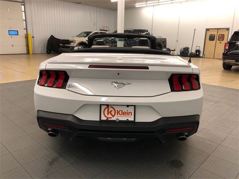 Used 2024 Ford Mustang Premium image 9