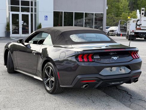 Used 2024 Ford Mustang Premium RWD image 3