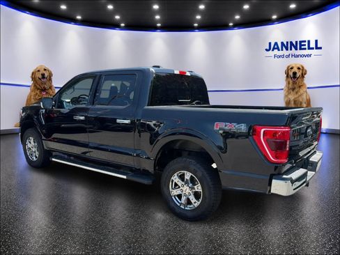 Used 2023 Ford F150 XLT w/ Equipment Group 302A High AWD/4WD image 8
