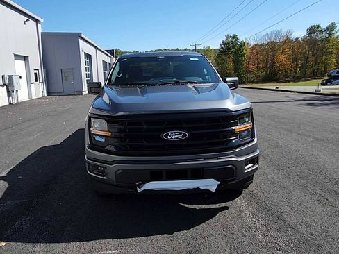 New 2025 Ford F150 XLT w/ Equipment Group 301A Standard image 3