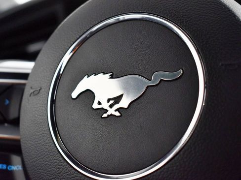 Used 2017 Ford Mustang GT Premium w/ Equipment Group 401A image 44