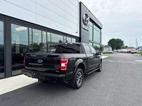 Used 2019 Ford F150 XLT w/ Equipment Group 302A Luxury AWD/4WD image 3