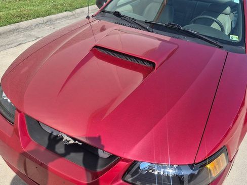Used 2002 Ford Mustang GT RWD image 13