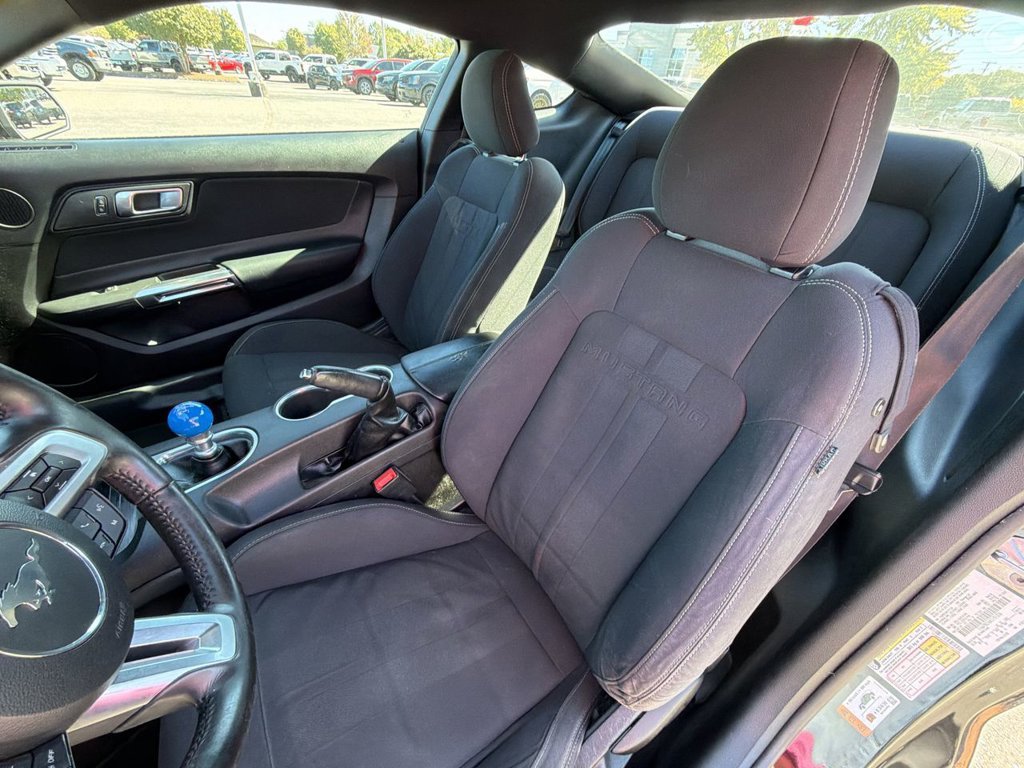 Certified 2019 Ford Mustang GT w/ Equipment Group 301A RWD image 11