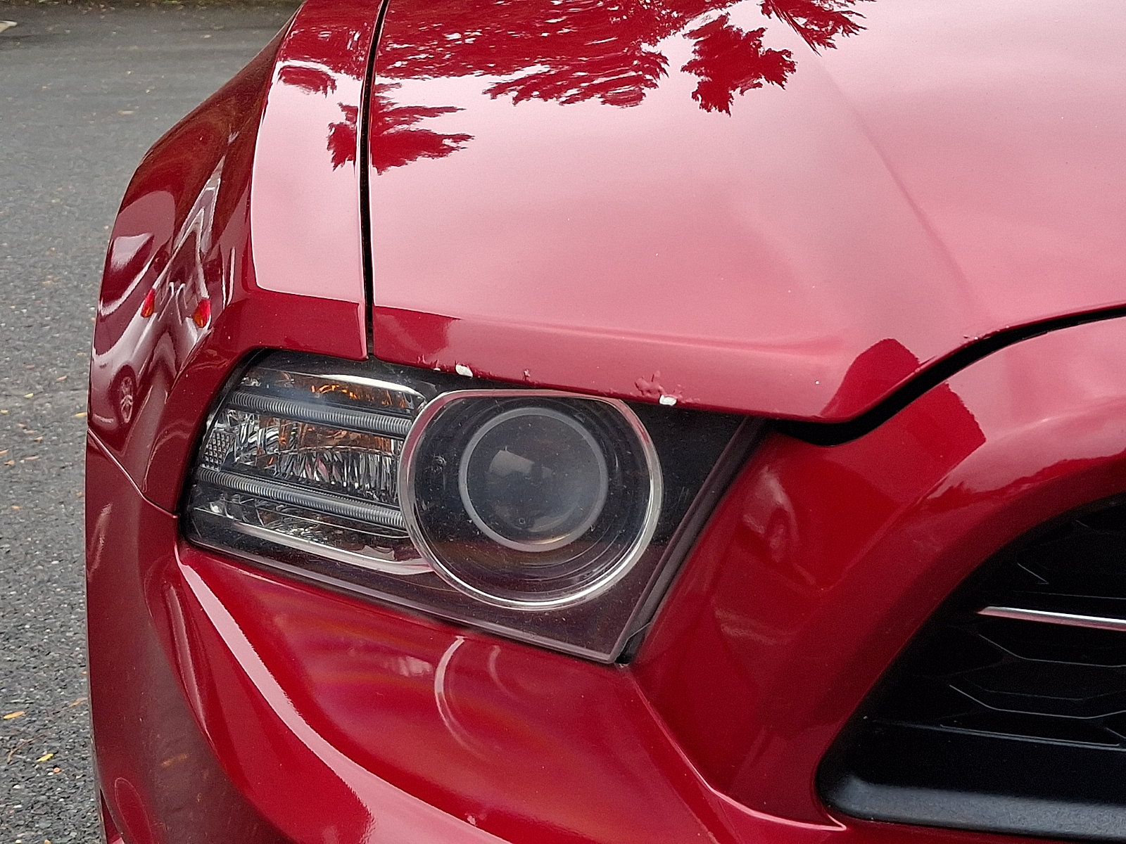 Used 2014 Ford Mustang Premium w/ Equipment Group 202A RWD image 12