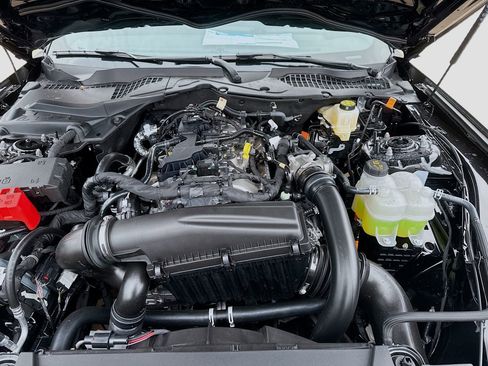 New 2026 Ford Mustang Coupe w/ Mustang Nite Pony Package image 30