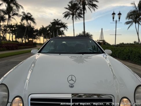 Used 2001 Mercedes-Benz CLK 430 Cabriolet image 15