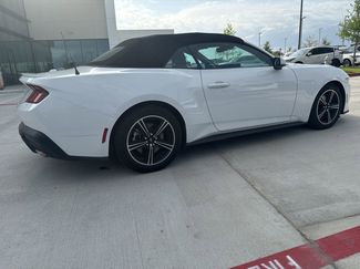 Used 2024 Ford Mustang Premium video 2