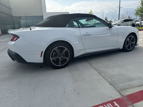 Used 2024 Ford Mustang Premium image 2