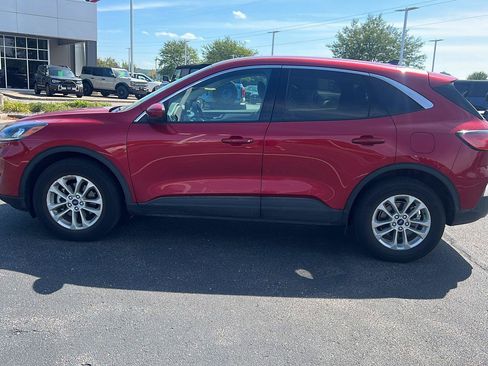 Used 2020 Ford Escape SE AWD/4WD image 10