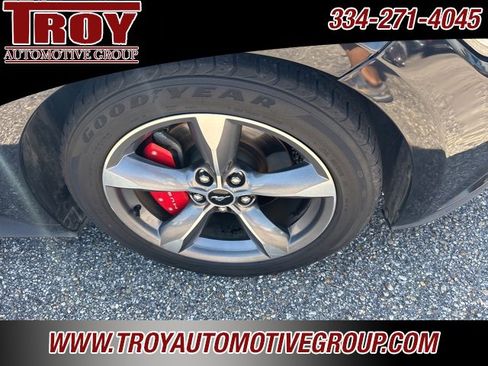 Used 2016 Ford Mustang Premium w/ Equipment Group 201A image 16