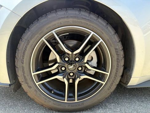 Used 2019 Ford Mustang Premium RWD image 21