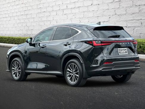 Used 2025 Lexus NX 350h AWD w/ Cold Area Package image 6