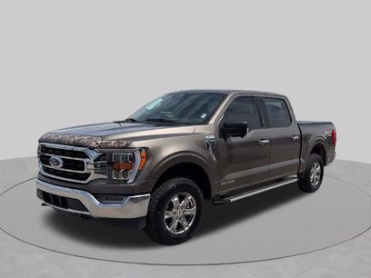 Used 2023 Ford F150 XLT w/ Equipment Group 302A High